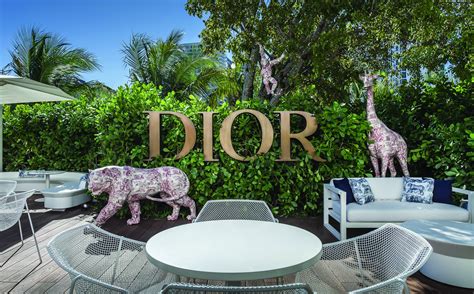 dior cafe in miami|cafe dior design district.